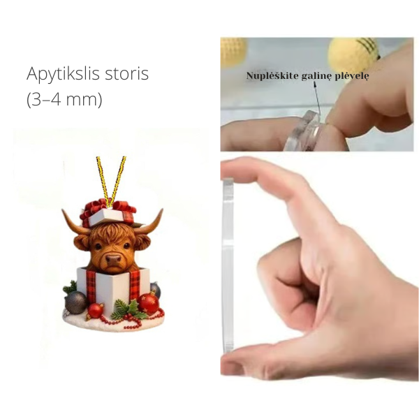 Škotu Kalnu Govju Adventes kalendārs 2025